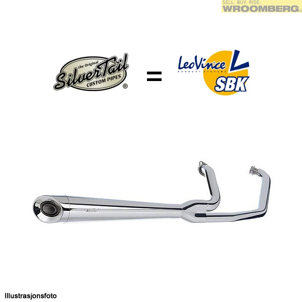 silvertail.jpg